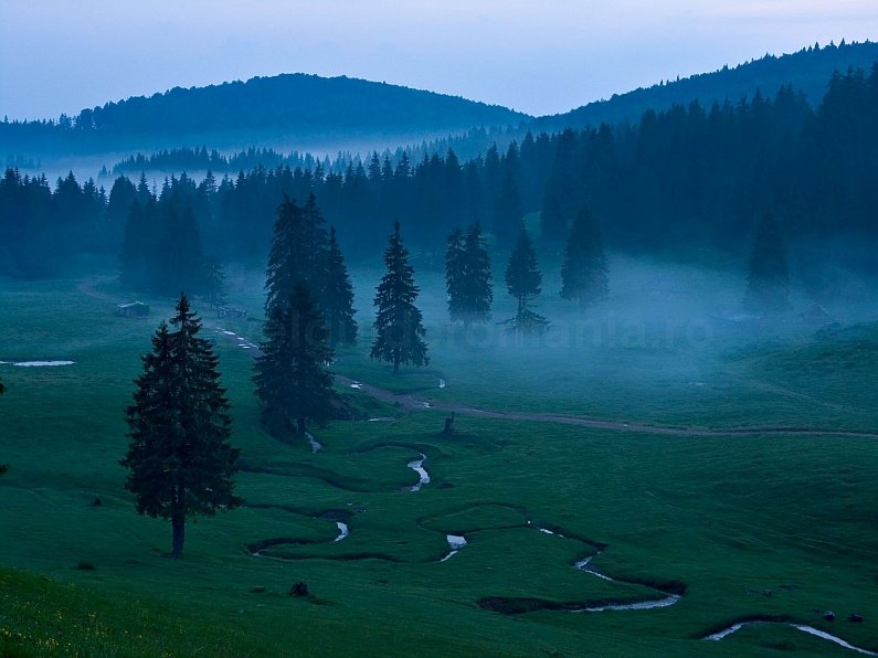 Padis mist Apuseni mountains adventure