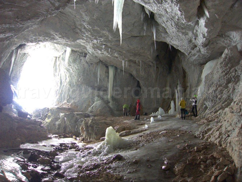 cetatile radesei padis apuseni wild romania