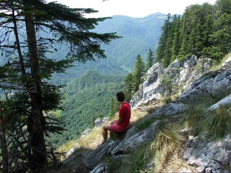 galbenei peak Padis Apuseni natural park