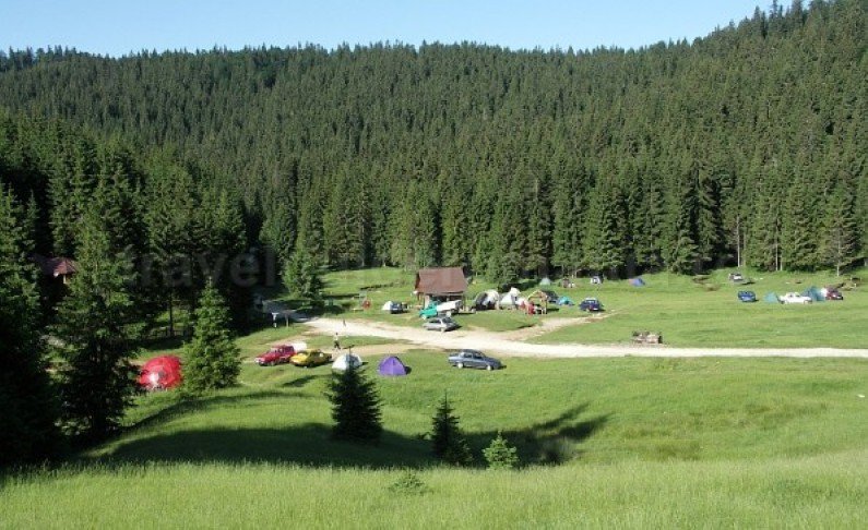 glavoi glade Padis Apuseni natural park romania
