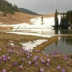 ponor glade Padis Apuseni experience