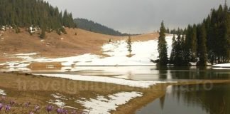 Padis, the best of the Apuseni Mountains ponor glade Padis Apuseni experience