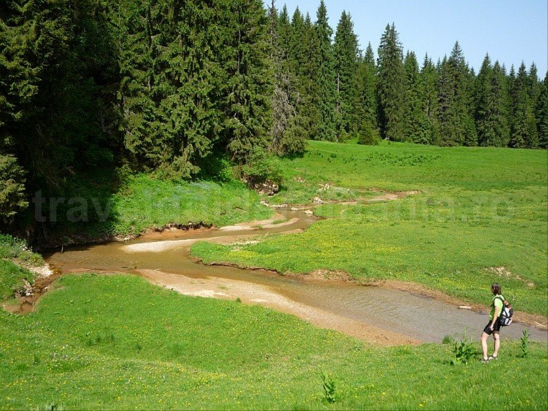 ponor glade Padis Apuseni natural park