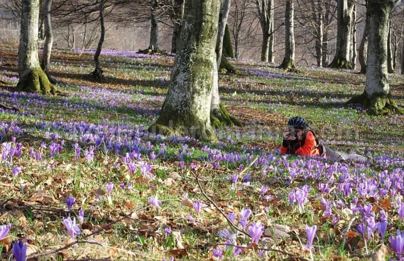 biking Damis mtb Padurea Craiului Apuseni