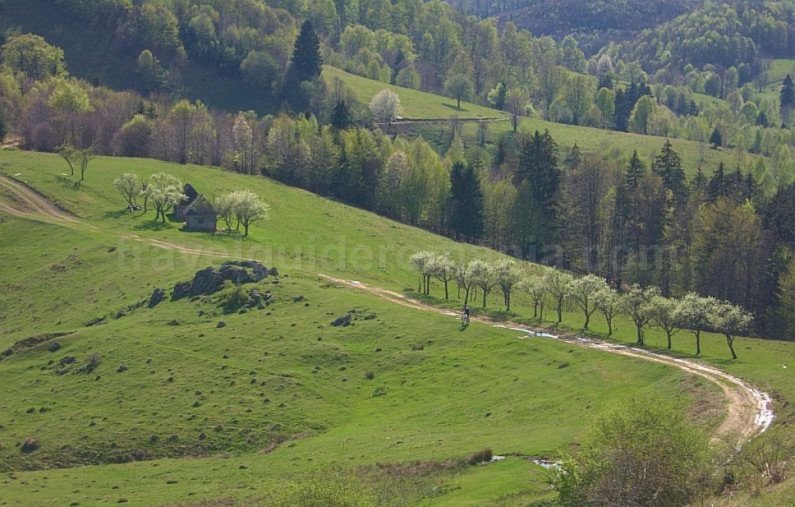 biking Ponoara Padurea Craiului Apuseni