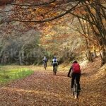 biking Rosia mtb Padurea Craiului Apuseni