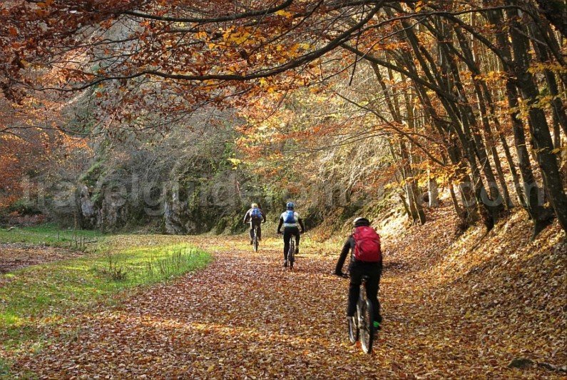 biking Rosia mtb Padurea Craiului Apuseni