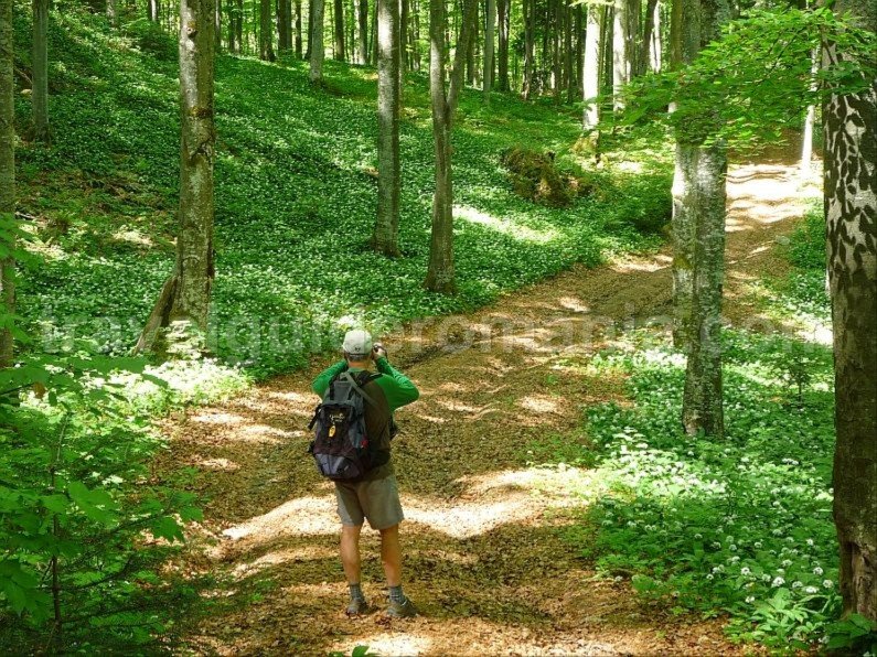 biking bratcutei valley mtb Padurea Craiului Apuseni