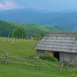 biking valea iadului ponoara mtb  Padurea Craiului Apuseni