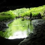 cave Padurea Craiului Apuseni