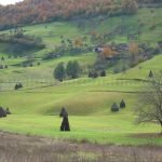 hay stacks rosia Padurea Craiului Apuseni