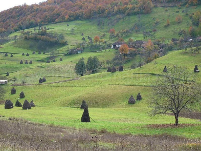 hay stacks rosia Padurea Craiului Apuseni