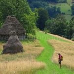 haybarn Rosia Padurea Craiului Apuseni