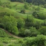 haystacks Rosia Padurea Craiului Apuseni