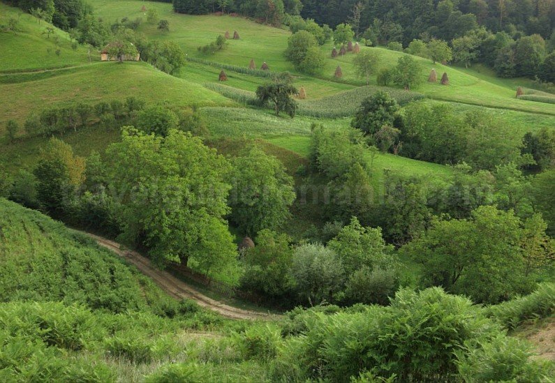 haystacks Rosia Padurea Craiului Apuseni