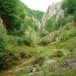 hiking cutilor gorges rosia Padurea Craiului Apuseni