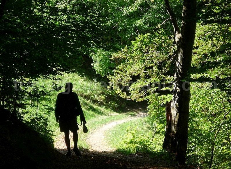 hiking valea bratcutei mtb Padurea Craiului Apuseni