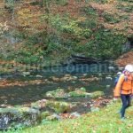 izbandis karstic spring suncuius Padurea Craiului Apuseni