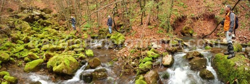 rosia karstic spring Padurea Craiului Apuseni