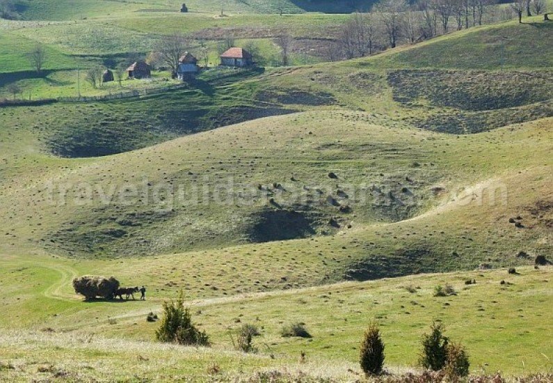 sinkholes farcu Padurea Craiului Apuseni