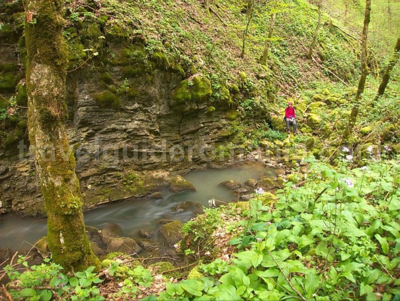 toplita de rosia karstic spring hiking Padurea Craiului Apuseni