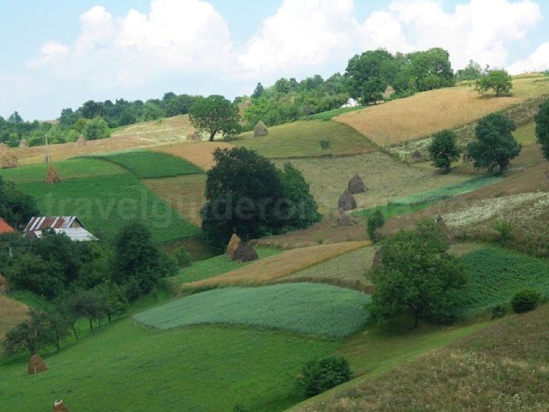 traditional agriculture runcuri rosia Padurea Craiului Apuseni