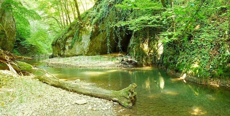 videi gorges Padurea Craiului Apuseni