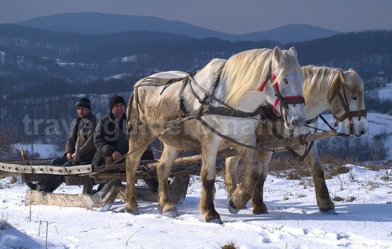 zece hotare traditional Padurea Craiului Apuseni