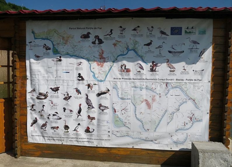 Danube Gorges The Natural Park Portile de Fier birds migration