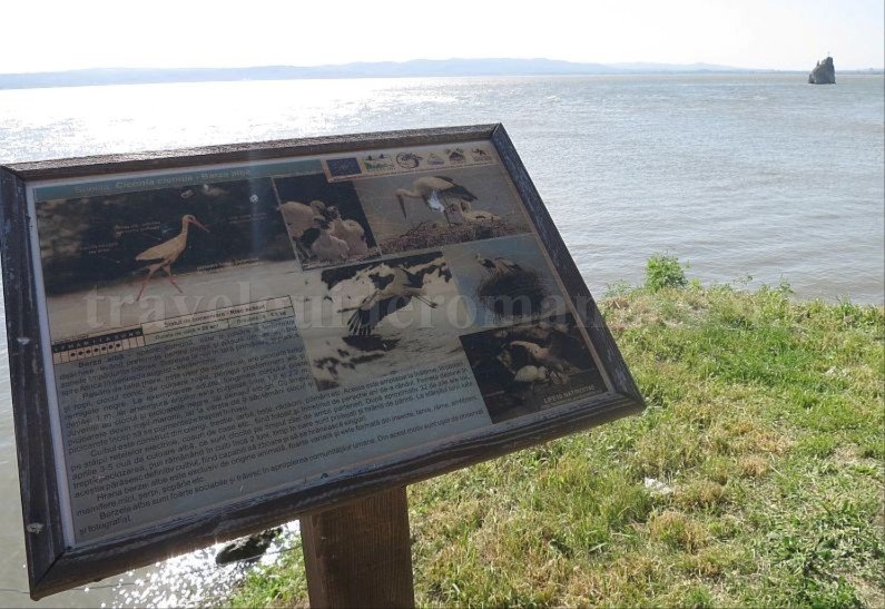 Danube Gorges The Natural Park Portile de Fier birds paradise