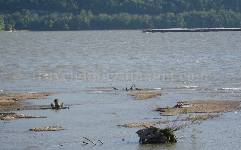 Danube Gorges The Natural Park Portile de Fier birds