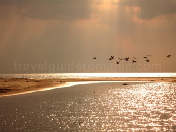 Danube Delta Nature Reserve