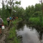 Danube Delta Nature Reserve caraorman forest