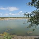 Danube Delta Nature Reserve letea sanddunes lake