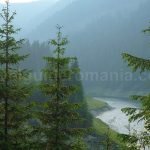latoritei mountains romania galbena petrimanu lake mountain-biking