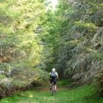 latoritei mountains romania to petrimanu mountain-biking