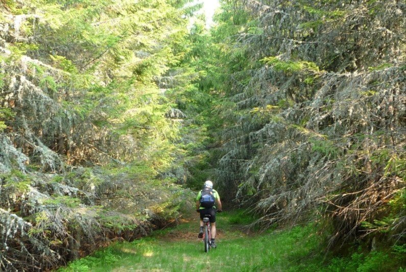 latoritei mountains romania to petrimanu mountain-biking