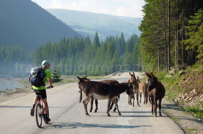latoritei mountains romania transalpina road mountain-biking