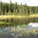 violeta lake latoritei mountains