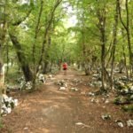 The Danube Cauldrons the iron gates dubova bay ditches, sinkhole