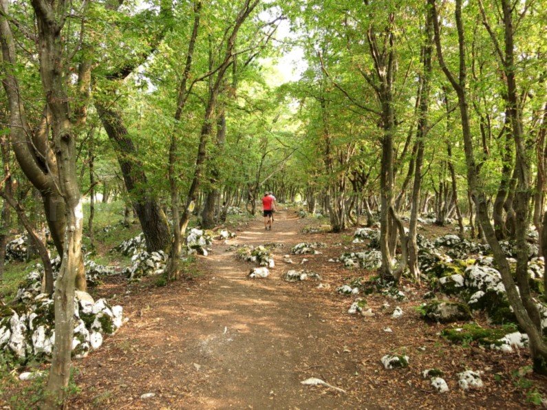 The Danube Cauldrons the iron gates dubova bay ditches, sinkhole