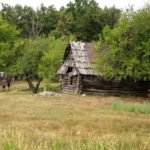The Danube Cauldrons the iron gates dubova bay dwellings