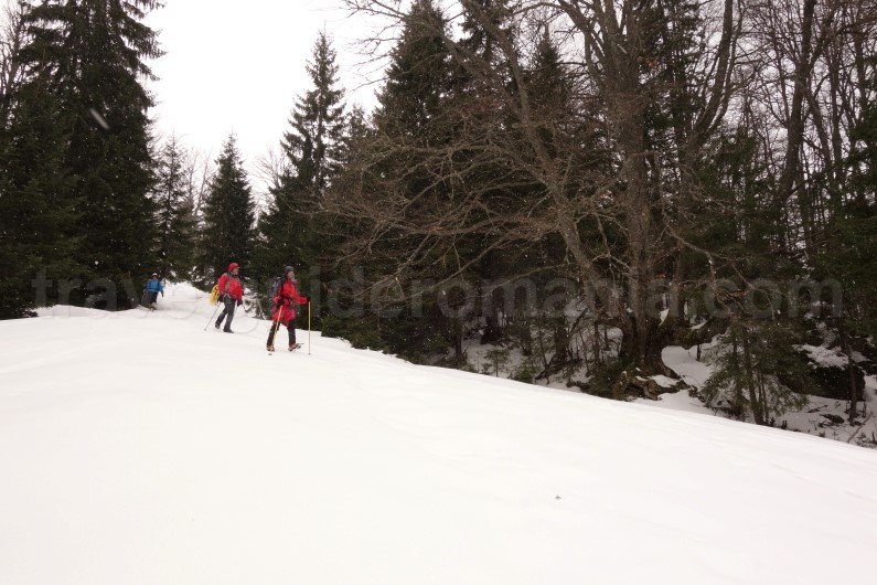 Snowshoeing trips in Romania - guided trips