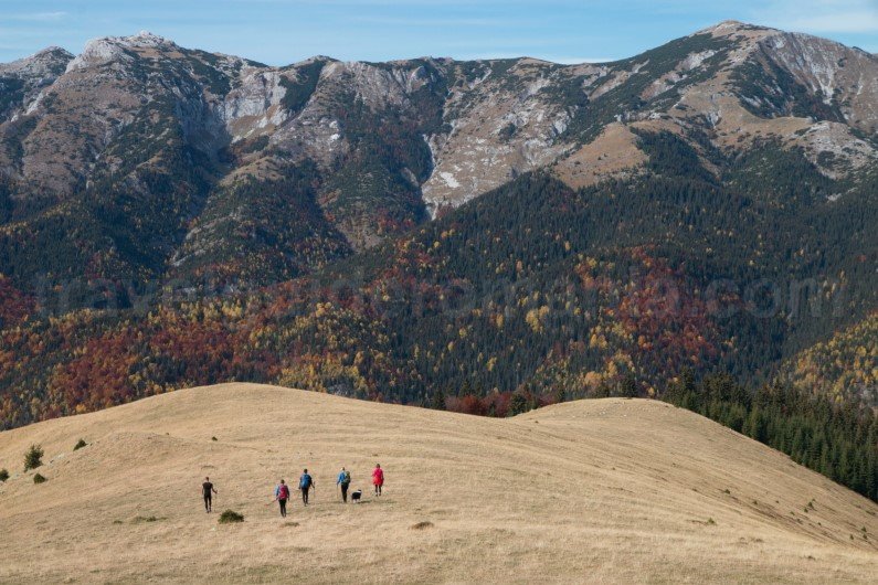 Travel deals for winter trips in Romania