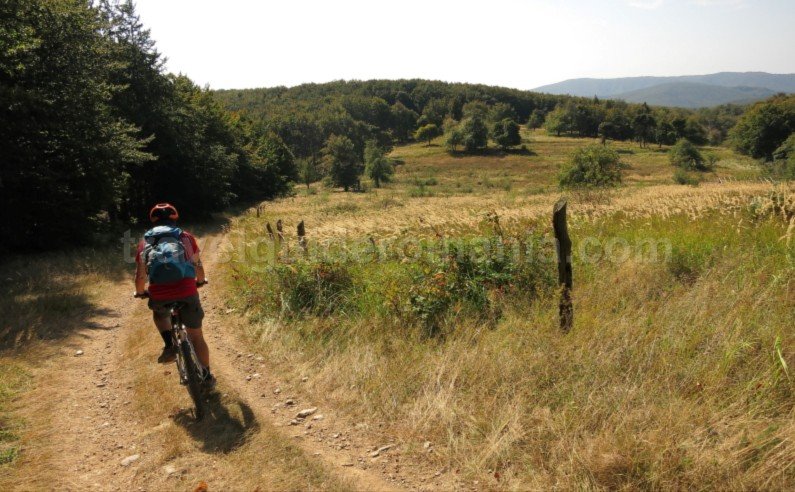 bigar eibenthal mountain bike Banat Mountains
