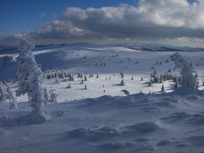 ski touring Bihor Vladeasa Mountains