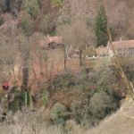 Crisul Repede Defile Padurea Craiului