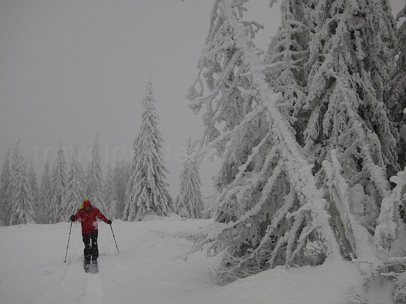 ski touring Bihor Vladeasa Mountains