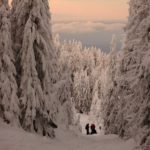ski touring Bihor Vladeasa Mountains