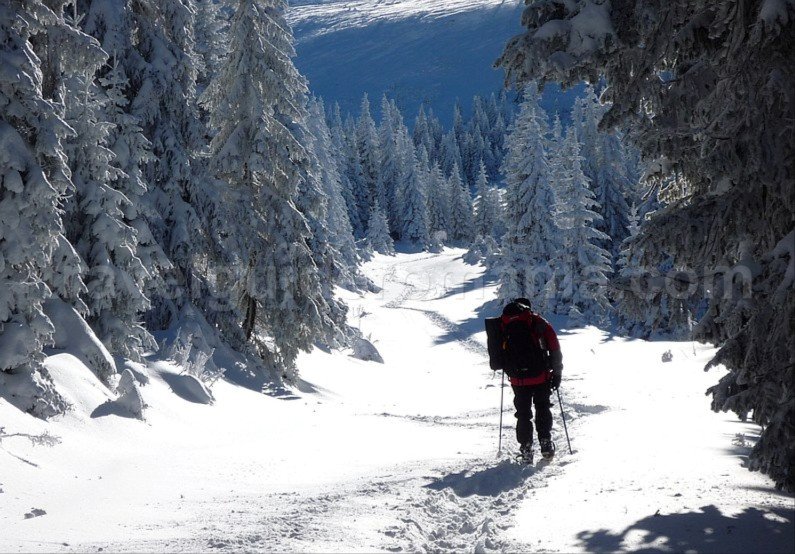 ski touring Bihor Vladeasa Mountains